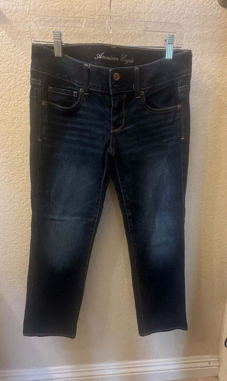 American Eagle Artist Jeans Size 4 Dark Wash Regular Straight Leg